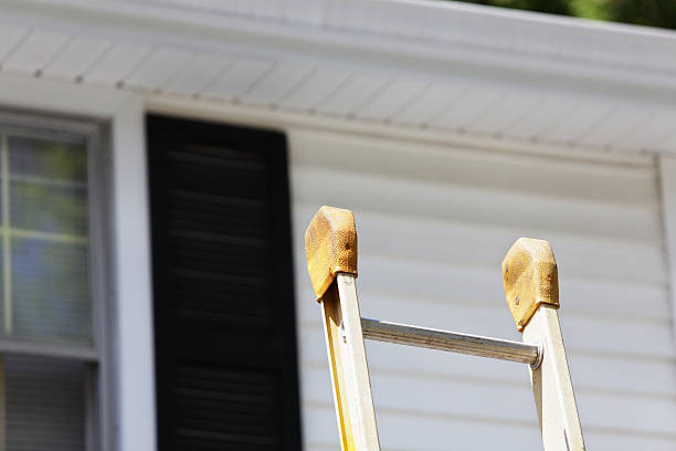 Best Vinyl Siding Installation  in Mpbell, CA